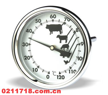 TL-T720插肉温度计