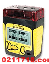 法国奥德姆MX2100复合气体检测仪MX2100