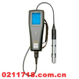 YSI Pro20型美国维赛YSI光学溶解氧测量仪YSI Pro20型