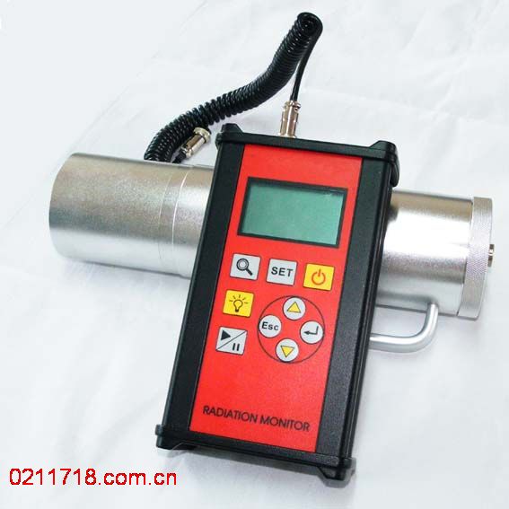 N91 型 х、γ辐射剂量当量率仪N91
