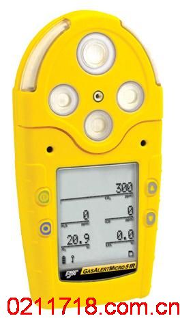 GAMIC-2加拿大BW GAMIC2多功能气检测仪 GAMIC-2