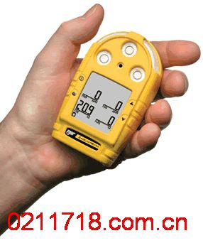 GAMIC-4加拿大BW GAMIC-4四合一气体检测仪 GAMIC-4