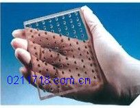 AB-0579手动96孔穿孔板英国ABgene手动穿孔板