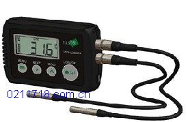 WS-T21PRO双温度记录仪