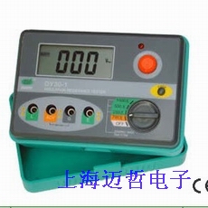 DY30-1数字式绝缘电阻测试仪DY30-1 