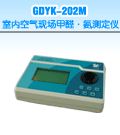 GDYK-202M 室内空气现场甲醛・氨测定仪