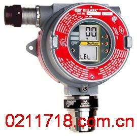 GP-WD加拿大BW可燃气体监测仪GP-WD 