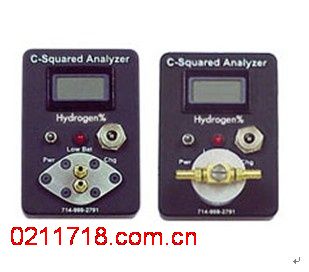 H2-10/100手持式氢气检测仪H2-10/100