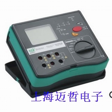 DY5101数字式绝缘电阻多功能测试仪DY-5101